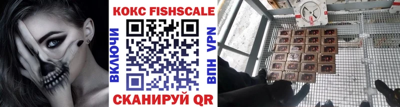 цены наркотик  MEGA ССЫЛКА  Кокаин FishScale  Тогучин 