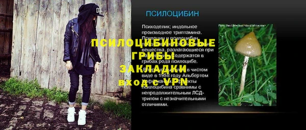 соль ск Богородицк